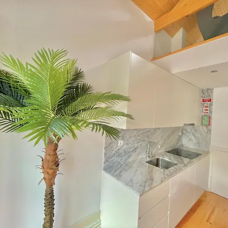 Apartment Domus 210 Penthouse Porto